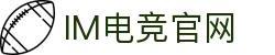 IM(股份有限公司)电竞-电子竞技平台